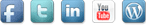 Facebook, Twitter, Linked In and Worpress Logo